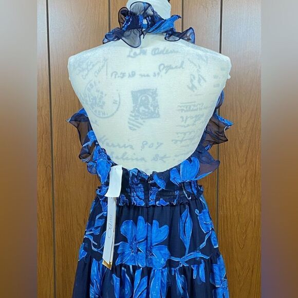 PatBO Nightflower Ruffled Floral Maxi Dress size 4 - Picture 12 of 16